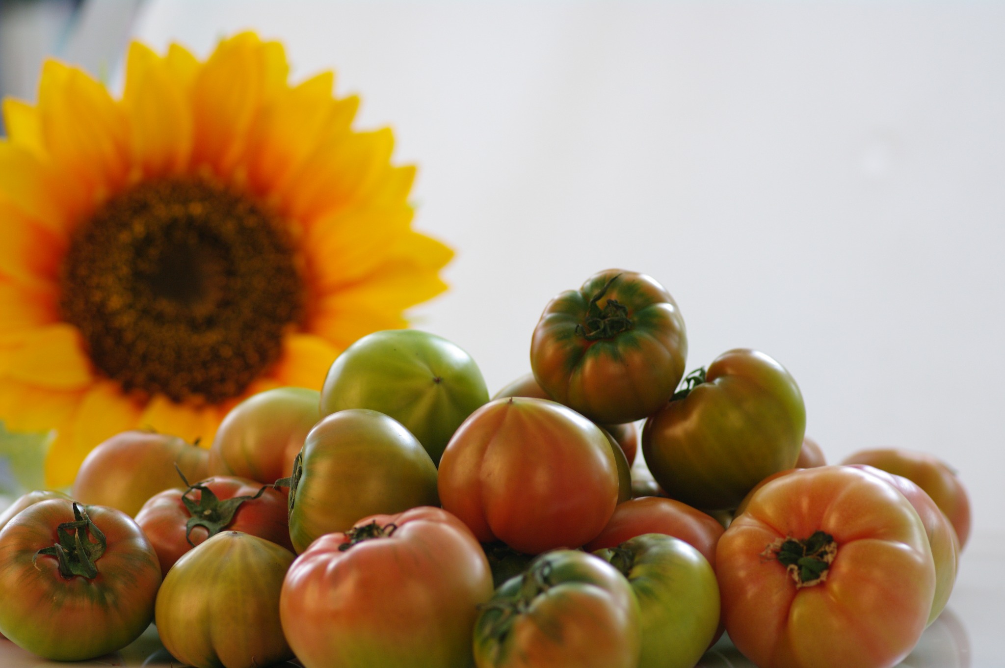 햇살농원 대표 이미지